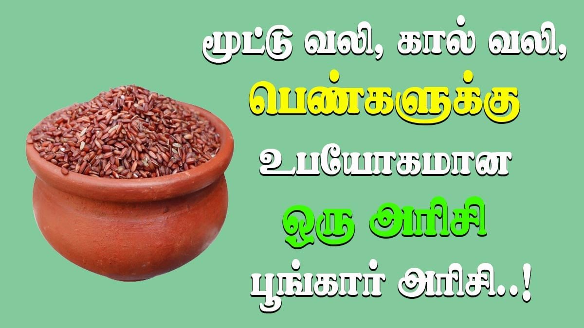 Secrets of Poongar Rice Benefits in Tamil